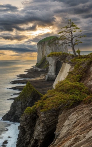 cliffs ocean,limestone cliff,cliff top,cliffs,cliff coast,pancake rocks,sea stack,united states national park,coastal landscape,thracian cliffs,the cliffs,split rock,cliffs of etretat,landscape photography,chalk cliff,cliff face,white cliffs,coastal and oceanic landforms,the twelve apostles,cliffs etretat,Common,Common,None