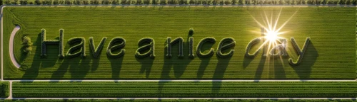 panoramical,triticale,tona organic farm,pachamama,tambora,itaparica,artificial grass,ifa,tara,tasmannia,halm of grass,damascena,tapaboca,tacamahac,yamada's rice fields,farm background,hay farm,rice terrace,pampas,thermae,Material,Material,North American Oak