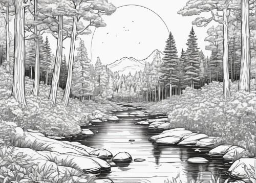 forest landscape,spruce forest,forests,brook landscape,forest,coniferous forest,the forests,coloring page,mono-line line art,forest background,mono line art,cartoon forest,creek,swampy landscape,riparian forest,the forest,forest path,mountain stream,salt meadow landscape,the brook,Illustration,American Style,American Style 03