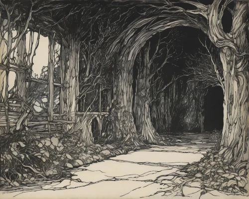 the dark hedges,hollow way,arthur rackham,forest path,druid grove,forest road,birch alley,tree lined path,pathway,old linden alley,the mystical path,the forest,the woods,haunted forest,the path,elven forest,enchanted forest,driveway,tree canopy,old-growth forest,Illustration,Retro,Retro 25
