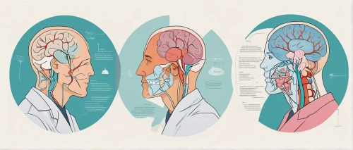 medical illustration,magnetic resonance imaging,cerebrum,management of hair loss,ear cancers,medical imaging,brain icon,axons,neural pathways,brain structure,meridians,cd cover,auricle,cancer illustration,anatomical,illustrations,connective tissue,receptor,olfaction,medical concept poster,Illustration,Japanese style,Japanese Style 06