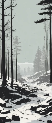 winter forest,pine trees,winter landscape,snow in pine trees,pine forest,snowy landscape,snow landscape,spruce forest,swampy landscape,snow trees,ice landscape,snowfield,winter background,snowstorm,spruce-fir forest,coniferous forest,pines,white pine,snow scene,forests,Illustration,Vector,Vector 10