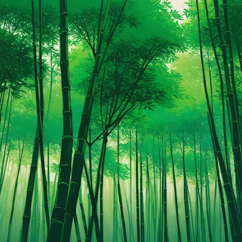 bamboo forest,green forest,green wallpaper,green trees,bamboo plants,bamboo,forest landscape,forest background,green landscape,arashiyama,forests,green trees with water,forest,foggy forest,coniferous forest,aaa,the forests,cartoon forest,patrol,fir forest,Conceptual Art,Fantasy,Fantasy 32
