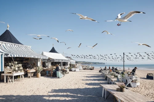 mamaia,zingst,beach restaurant,knokke,sylt,beach bar,sopot,baltic sea,island poel,thatch umbrellas,toast skagen,summer beach umbrellas,usedom,seaside resort,norderney,the baltic sea,beach huts,henne strand,beach hut,rügen island,Photography,Fashion Photography,Fashion Photography 23