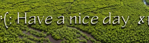 heart tea plantation,tea plantation,tea plantations,rice cultivation,tea field,tea plant,permaculture,aromatic herbs,pachamama,vietnamese dong,bangladesh,dji agriculture,yamada's rice fields,rice terrace,aromatic herb,harau,organic farm,ecological sustainable development,ricefield,aerial photography,Realistic,Landscapes,River Landscape