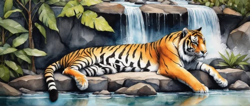 bengal tiger,a tiger,sumatran tiger,water hole,tiger,tigers,asian tiger,watering hole,bengal,siberian tiger,water fall,glass painting,type royal tiger,waterfall,mountain stream,sumatran,tigerle,tropical animals,tiger png,chestnut tiger,Conceptual Art,Daily,Daily 34