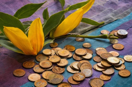 penny tree,pennies,prosperity and abundance,coins,money plant,cents are,alternative currency,coins stacks,cut flowers,still life photography,seychellois rupee,cents,windfall,pension mark,euro cent,spring pot drive,loose change,golden flowers,abundance,tabletop photography,Illustration,Paper based,Paper Based 09