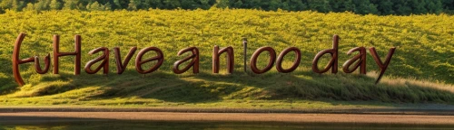 halmahera,hula,yamada's rice fields,cuba background,hallaca,hawaii bamboo,halyamaat,hawaiian food,aloha,hwalyeob,halm of grass,hatena,habaneras,jakaranda,halmahera islands,nabada,pasanda,bollywood,ramadan background,place-name sign,Material,Material,North American Oak