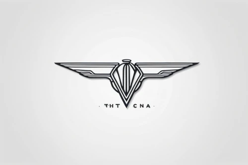 chrysler 300 letter series,car icon,car brand,automotive decal,vector graphic,car badge,golf car vector,chrysler airflow,letter v,logo header,logodesign,logotype,volga car,vector design,volvo cars,yamaha motor company,vesper,viceroy (butterfly),hispano-suiza h6,vector image,Illustration,Japanese style,Japanese Style 09