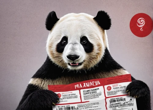 chinese panda,panda bear,pandabear,panda,giant panda,panda face,newspaper advertisements,digital advertising,advertising campaigns,paper roll,advertising,french tian,po,coupons,advertise,reading the newspaper,advertising rights,restaurants online,pandas,coupon,Photography,Documentary Photography,Documentary Photography 27