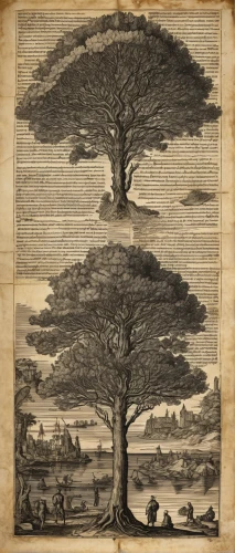 adansonia,rosewood tree,trees with stitching,bodhi tree,hokka tree,the roots of the mangrove trees,the branches of the tree,flourishing tree,ornamental tree,family tree,elm tree,plane-tree family,araucaria,the japanese tree,a tree,vinegar tree,tree species,tree of life,barbary fig,celtic tree,Illustration,Black and White,Black and White 27