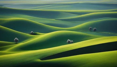 dune landscape,crescent dunes,sand dunes,xinjiang,moving dunes,shifting dunes,the gobi desert,dunes,san dunes,the sand dunes,colorado sand dunes,green landscape,gobi desert,grasslands,desert landscape,desert desert landscape,inner mongolian beauty,admer dune,dune sea,green grain,Illustration,Black and White,Black and White 32