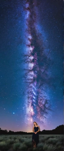 the milky way,milky way,meteor,perseid,the night sky,astrophotography,stargazing,ursa major zodiac,night sky,milkyway,ursa major,meteorite,nebula guardian,astronomical,astro,wyoming,astronomers,cosmos,galaxy,meteor shower,Photography,Documentary Photography,Documentary Photography 35