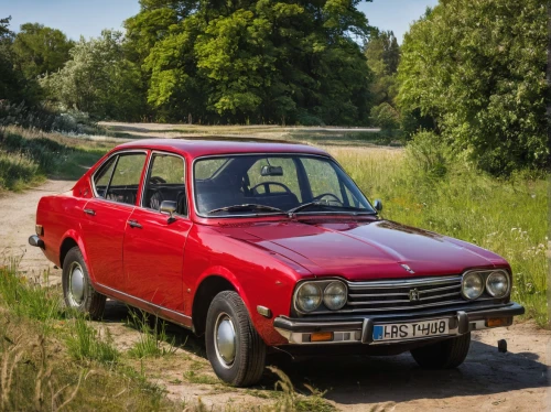 renault 8,dacia 1300,polski fiat 125p,zastava 750,moskvitch 412,renault 6,peugeot 204,renault 4,lada,daf 55,peugeot 404,renault 18,renault 12,vaz-2107,autobianchi a112,moskvitch 400-420,vaz-2101,seat 600,simca 1307,autobianchi bianchina,Art,Classical Oil Painting,Classical Oil Painting 24