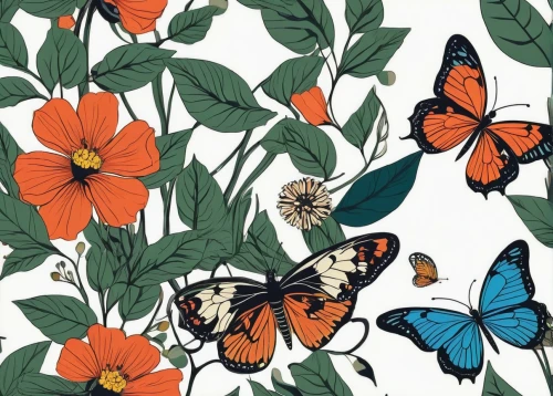 butterfly digital paper,butterfly clip art,butterfly background,butterfly pattern,butterfly floral,moths and butterflies,butterfly vector,seamless pattern,butterflies,orange floral paper,botanical print,floral digital background,seamless pattern repeat,flowers png,orange butterfly,lycaena phlaeas,blue butterfly background,flowers pattern,floral background,butterfly day,Illustration,Vector,Vector 13