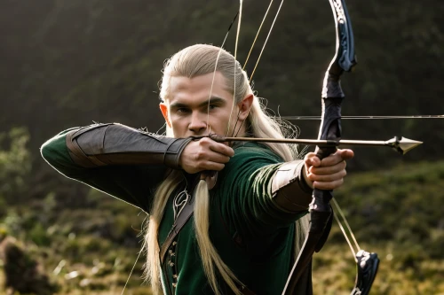 bow and arrows,bow and arrow,robin hood,longbow,awesome arrow,best arrow,bows and arrows,archer,archery,draw arrows,bow arrow,3d archery,hand draw arrows,arrow set,arrow,field archery,male elf,silver arrow,elven,cullen skink,Photography,Artistic Photography,Artistic Photography 10