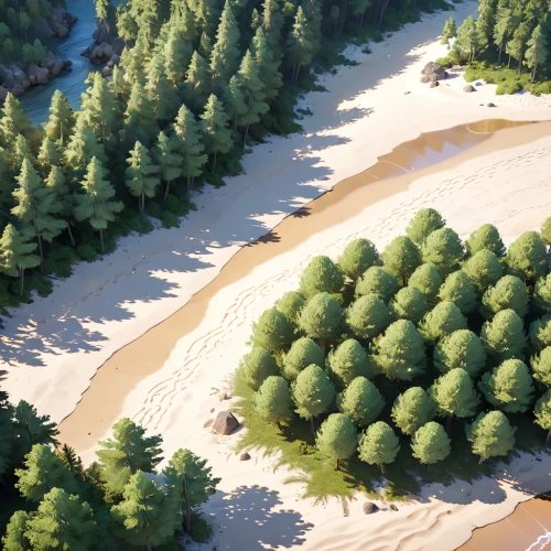 coniferous forest,fir forest,pine trees,spruce-fir forest,pine forest,spruce forest,temperate coniferous forest,coniferous,conifers,forests,pine tree,pines,pine,fir trees,evergreens,larch forests,shifting dunes,forestry,chestnut forest,dune landscape,Anime,Anime,General