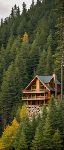 log home,the cabin in the mountains,house in the mountains,house in mountains,timber house,american larch,tree house hotel,log cabin,house in the forest,chalet,larch forests,yellow fir,western yellow pine,mountain hut,yellow pine,temperate coniferous forest,treehouse,coniferous forest,douglas fir,tree house,Illustration,Japanese style,Japanese Style 16