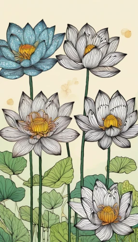 lotus flowers,lotus plants,white water lilies,lotus on pond,water lotus,water lilies,lotus art drawing,lotus pond,lotus ffflower,lotus hearts,trollius download,lotuses,stone lotus,lotus effect,golden lotus flowers,lotus flower,lotus family,waterlily,lotus blossom,lotus,Illustration,Paper based,Paper Based 16