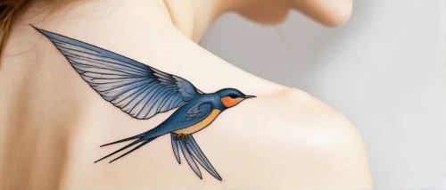 temporary tattoo,european swallow,bird wing,humming-bird,blue bird,bird wings,fairywren,bird of paradise,bluebird perched,tattoo,paridae,bluebird,with tattoo,hummingbird,ornithology,bird fly,ornamental bird,barn swallow,little bird,blue birds and blossom,Illustration,Retro,Retro 23