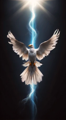 dove of peace,white eagle,doves of peace,holy spirit,peace dove,divine healing energy,eagle illustration,eagle vector,white dove,angelology,angel wing,eagle,thunderbolt,eagles,lightning bolt,the archangel,pentecost,pegasus,phoenix,power icon