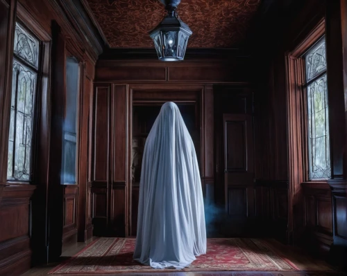 veil,the ghost,ghost girl,the angel with the veronica veil,ghost,a curtain,dead bride,burqa,apparition,overskirt,cloak,ghostly,drapes,ghost face,paranormal phenomena,ghosts,nightgown,ghost catcher,the girl in nightie,conceptual photography,Conceptual Art,Daily,Daily 16