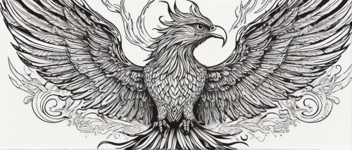 eagle illustration,phoenix rooster,coloring page,angel line art,gryphon,imperial eagle,eagle drawing,line art birds,coloring pages,garuda,griffin,eagle,araucana,gray eagle,dove of peace,griffon bruxellois,harpy,ornamental bird,firebird,line art animal,Illustration,Black and White,Black and White 19