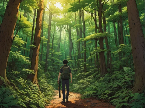 forest walk,forest,forest man,the forest,forest path,green forest,forest background,forest road,forest of dreams,old-growth forest,redwoods,forests,world digital painting,deciduous forest,the woods,the forests,in the forest,holy forest,2d,sci fiction illustration,Illustration,American Style,American Style 01