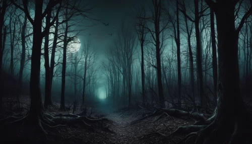 haunted forest,foggy forest,forest dark,the mystical path,enchanted forest,forest path,hollow way,germany forest,forest of dreams,the forest,forest background,green forest,slender,dark park,elven forest,the woods,dark art,fantasy picture,light of night,forest landscape,Illustration,Realistic Fantasy,Realistic Fantasy 46
