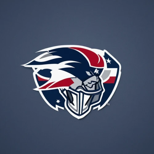 stadium falcon,svg,arena football,eagle vector,dribbble,national football league,dribbble icon,gibbon 5,football helmet,women's lacrosse,mascot,batting helmet,bird png,logo header,lacrosse helmet,owl background,indoor american football,the mascot,animal icons,american football coach,Illustration,Paper based,Paper Based 29