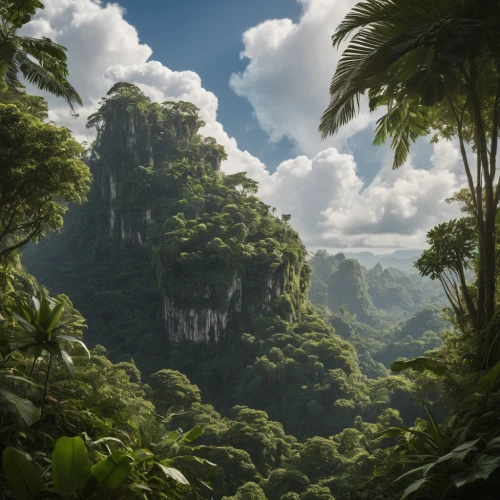 rainforest,karst landscape,rain forest,tropical jungle,tropical and subtropical coniferous forests,an island far away landscape,mountainous landscape,fantasy landscape,jungle,landscape background,mountain landscape,borneo,valdivian temperate rain forest,world digital painting,tigers nest,tropical greens,vietnam,forest landscape,forests,nature landscape,Photography,General,Natural