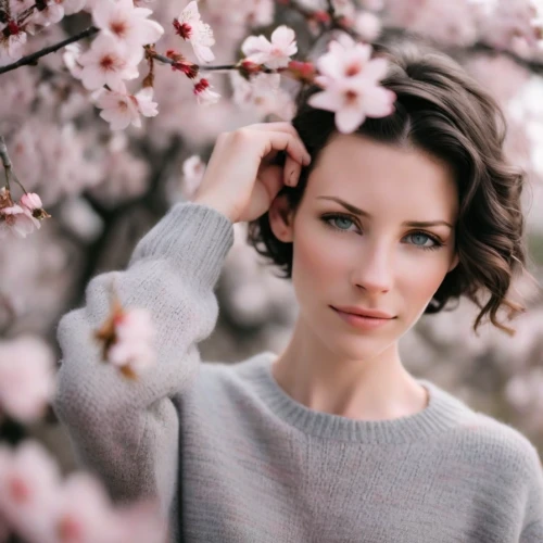 almond blossoms,cherry blossoms,cherry blossom,cold cherry blossoms,blossoms,the cherry blossoms,almond blossom,magnolia blossom,beautiful girl with flowers,linden blossom,almond tree,magnolias,magnolia,magnolia flowers,japanese cherry blossoms,sakura blossom,blooming tree,spring blossoms,japanese cherry,spring blossom