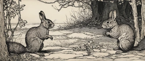 rabbits and hares,hare trail,hares,rabbits,female hares,fox and hare,leveret,hare field,rabbit family,woodland animals,hare window,easter rabbits,peter rabbit,audubon's cottontail,bunnies,gray hare,hare's-foot- clover,hare's-foot-clover,lepus europaeus,hare,Illustration,Retro,Retro 25