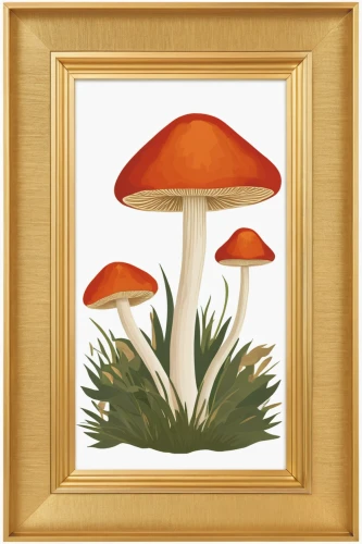 botanical frame,mushroom landscape,toadstools,botanical square frame,umbrella mushrooms,edible mushrooms,agaric,champignon mushroom,club mushroom,fly agaric,edible mushroom,mushroom type,mushroom island,russula,agaricaceae,forest mushroom,oyster mushroom,art deco frame,amanita,watercolor frame,Conceptual Art,Oil color,Oil Color 13