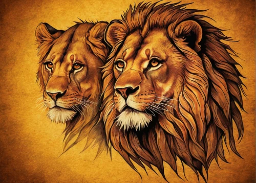 two lion,lionesses,male lions,lions,panthera leo,lion father,lions couple,lion,african lion,male lion,lion children,lion number,forest king lion,skeezy lion,lion head,masai lion,lion white,female lion,lioness,lion's coach,Illustration,Retro,Retro 09