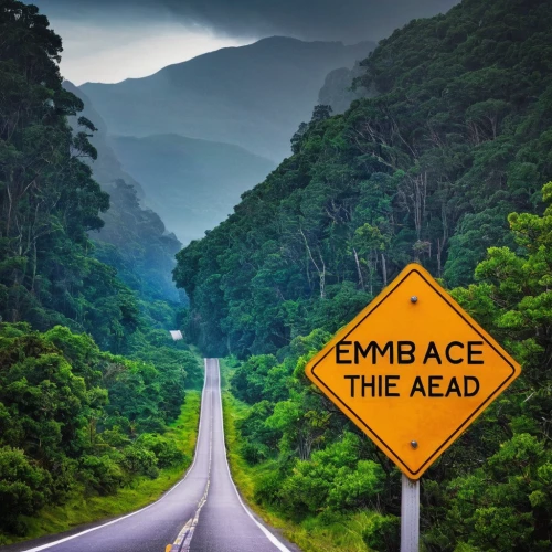 em 2020,endemic,aaa,emr,emo,emergency medicine,encamp,ems,edp,em 2016,em2016,sign e-mail,aec,eap,hume highway,eco,dead end,the edge of the,ecologically friendly,road-sign,Photography,Documentary Photography,Documentary Photography 18