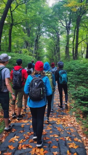 jeju island,hikers,backpacking,autumn in japan,namsan mountain,namsan,the chubu sangaku national park,tokyo ¡¡,jeju,namsan hanok village,people in nature,daegu,jeju cheonjiyeon waterfall,the descent to the lake,wolchulsan,hiking,forest walk,trekking,hokkaido,huangshan maofeng,Photography,Documentary Photography,Documentary Photography 16