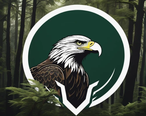 owl background,eagle illustration,eagle vector,eagles,eagle head,eagles nest,eagle drawing,eagle eastern,eagle,patrol,svg,sporting group,national emblem,nz badge,emblem,arrow logo,mountain hawk eagle,stadium falcon,bird of prey,adler,Photography,Fashion Photography,Fashion Photography 09