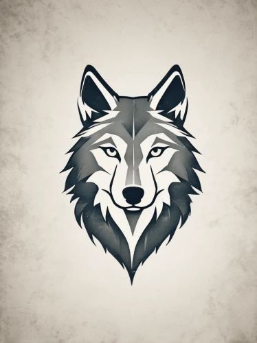 gray wolf,wolf,wolves,lion white,animal icons,wolf hunting,gray icon vectors,howling wolf,howl,wolfdog,european wolf,steam icon,two wolves,werewolf,canidae,furta,tervuren,werewolves,canis lupus,wolf bob,Photography,Documentary Photography,Documentary Photography 02