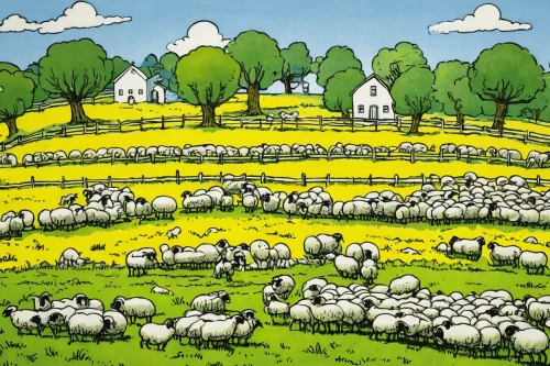 counting sheep,the sheep,flock of sheep,a flock of sheep,alpine pastures,sheep knitting,sheep,wool sheep,sheeps,pasture,farmyard,rhön sheep,cow herd,cow meadow,shear sheep,shoun the sheep,wensleydale,agricultural,two sheep,bee pasture,Illustration,Children,Children 05