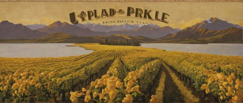 prairie,pineapple fields,pineapple farm,pineapple field,spikelets,pinapple,prickle,mountain lake will be,turnpike,prairie rose,prairie chicken,field of cereals,alpine route,espadrille,cd cover,triticale,alps elke,phragmites,cradle,alpine lake,Illustration,Realistic Fantasy,Realistic Fantasy 09