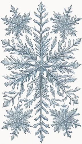 snowflake background,christmas snowflake banner,christmas tree pattern,blue snowflake,christmas pattern,snowflake,watercolor christmas pattern,wreath vector,white snowflake,snow flake,christmas motif,snowflakes,christmas snowy background,hoarfrost,fir branches,snowflake cookies,ice crystal,fir tree decorations,fir-tree branches,snow drawing,Illustration,Black and White,Black and White 13
