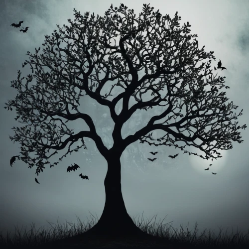 isolated tree,old tree silhouette,tree silhouette,tree thoughtless,the branches of the tree,creepy tree,tree of life,celtic tree,lone tree,birch tree background,deciduous tree,bare tree,a tree,bodhi tree,halloween bare trees,flourishing tree,branching,birch tree illustration,tree,strange tree,Photography,Documentary Photography,Documentary Photography 09