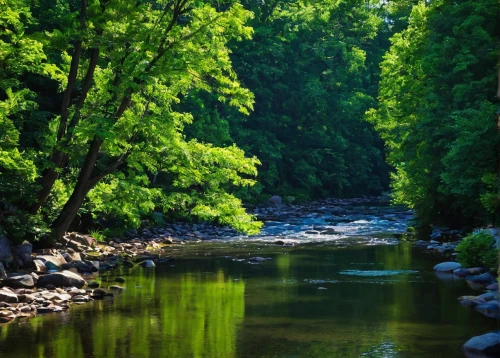 flowing creek,raven river,a river,river cooter,aura river,mountain river,clear stream,river landscape,green trees with water,river,mckenzie river,low water crossing,jordan river,upper water,river side,huka river,watercourse,river view,streams,stream,Illustration,Paper based,Paper Based 01