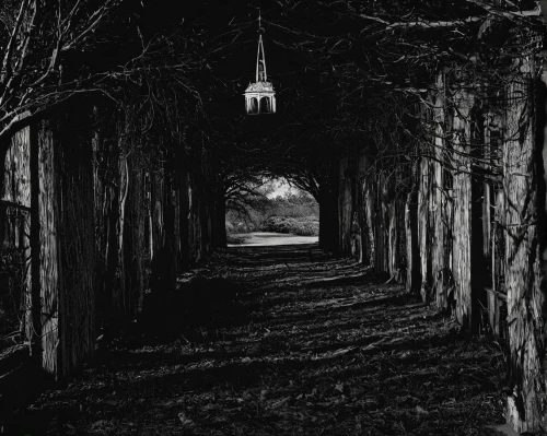 the dark hedges,hollow way,haunted cathedral,dark park,dark gothic mood,birch alley,archway,pathway,creepy doorway,hollywood cemetery,vanishing point,the mystical path,forest cemetery,cemetary,old graveyard,burial ground,silent screen,forest chapel,the path,hall of the fallen,Photography,Fashion Photography,Fashion Photography 08