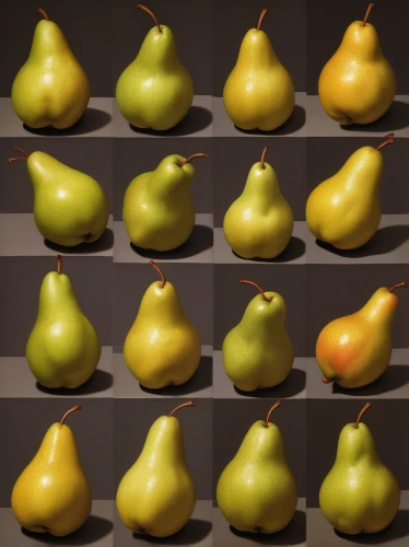 pear cognition,pears,pear,asian pear,rock pear,bitter gourd,starfruit,copper rock pear,gourd,yellow pepper,green oranges,accessory fruit,gourds,persimmon,decorative squashes,bell apple,satsuma,asian green oranges,chayote,quince decorative,Art,Artistic Painting,Artistic Painting 08