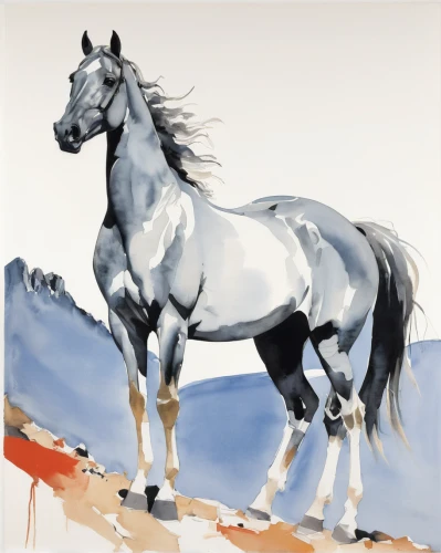 painted horse,a white horse,white horse,arabian horse,palomino,equine,white horses,belgian horse,draft horse,a horse,albino horse,horse,portrait animal horse,appaloosa,colorful horse,young horse,horses,arabian horses,vintage horse,racehorse,Art,Artistic Painting,Artistic Painting 24