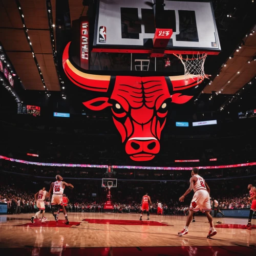 bulls,nba,young bulls,bull,bulls eye,the fan's background,nikola,chicago,madison square garden,brickwall,the block,pistons,basketball,brick wall background,red auerbach,chi,logo header,culture rose,the hive,red banner,Photography,General,Cinematic