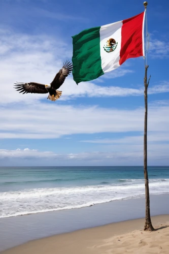 mexico,mexican holiday,baja california sur,mexican,yucatan,mexican culture,mexican tradition,acapulco,mexican peso,tijuana,central america,cinco de mayo,mexican mix,mexican blanket,nicaragua,mexican foods,peru,mexican creeper,mexico mxn,mexican revolution,Conceptual Art,Daily,Daily 06