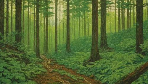 green forest,forest landscape,forest background,forests,the forests,the forest,forest,forest floor,coniferous forest,cartoon forest,fir forest,old-growth forest,forest ground,forest road,forest plant,green trees,mixed forest,holy forest,forest glade,colored pencil background,Illustration,Retro,Retro 01